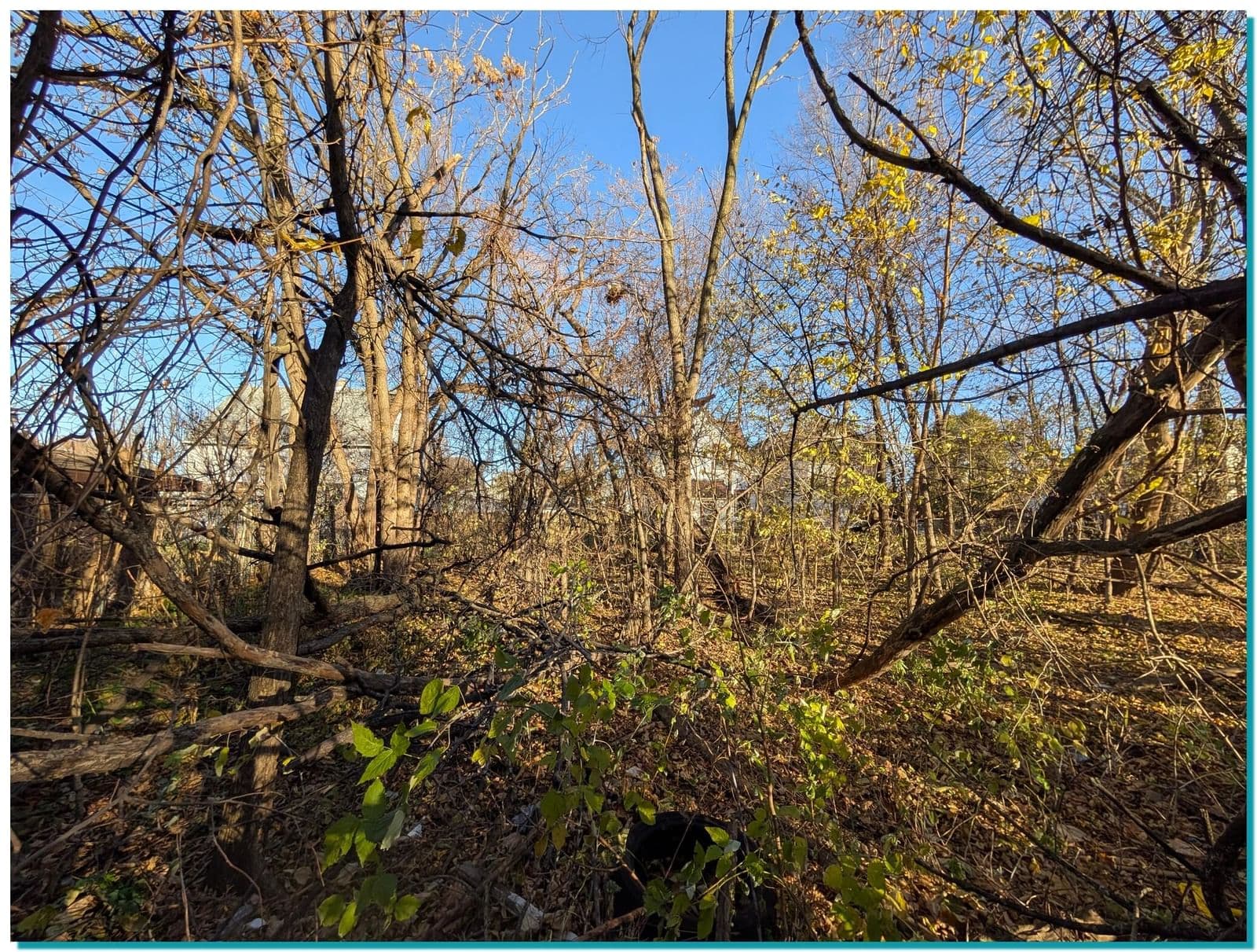 Photo 4 of 2958 10th