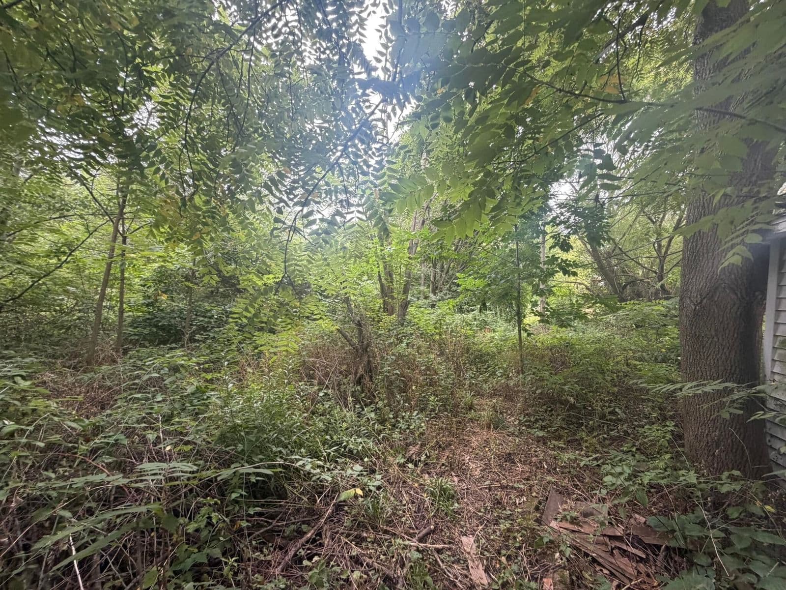 Photo 5 of 10628 Austin