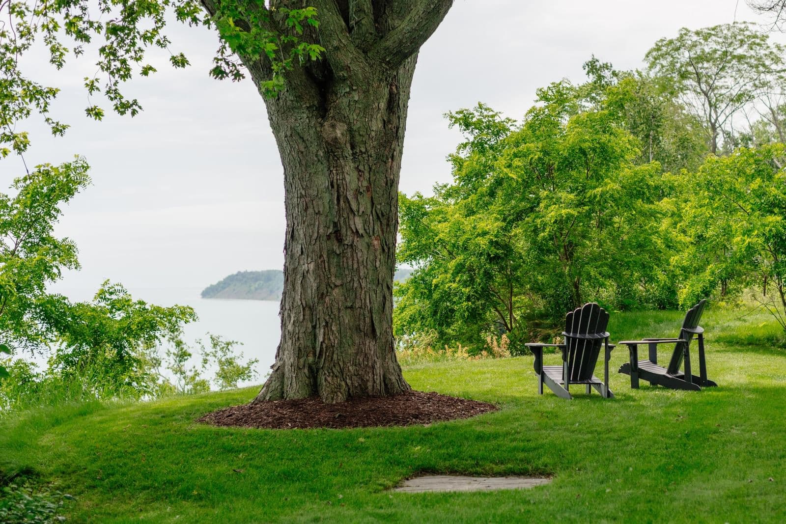 12504 Lake Shore