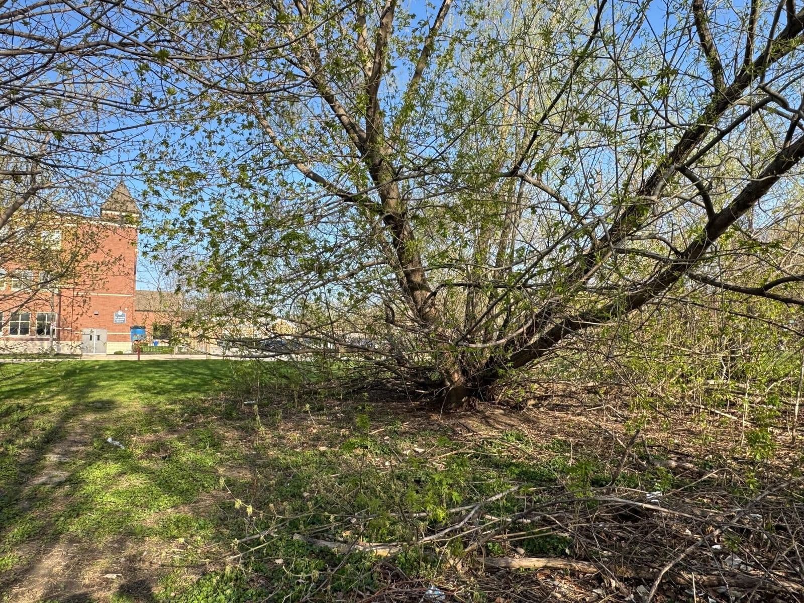 2228 Palmer
