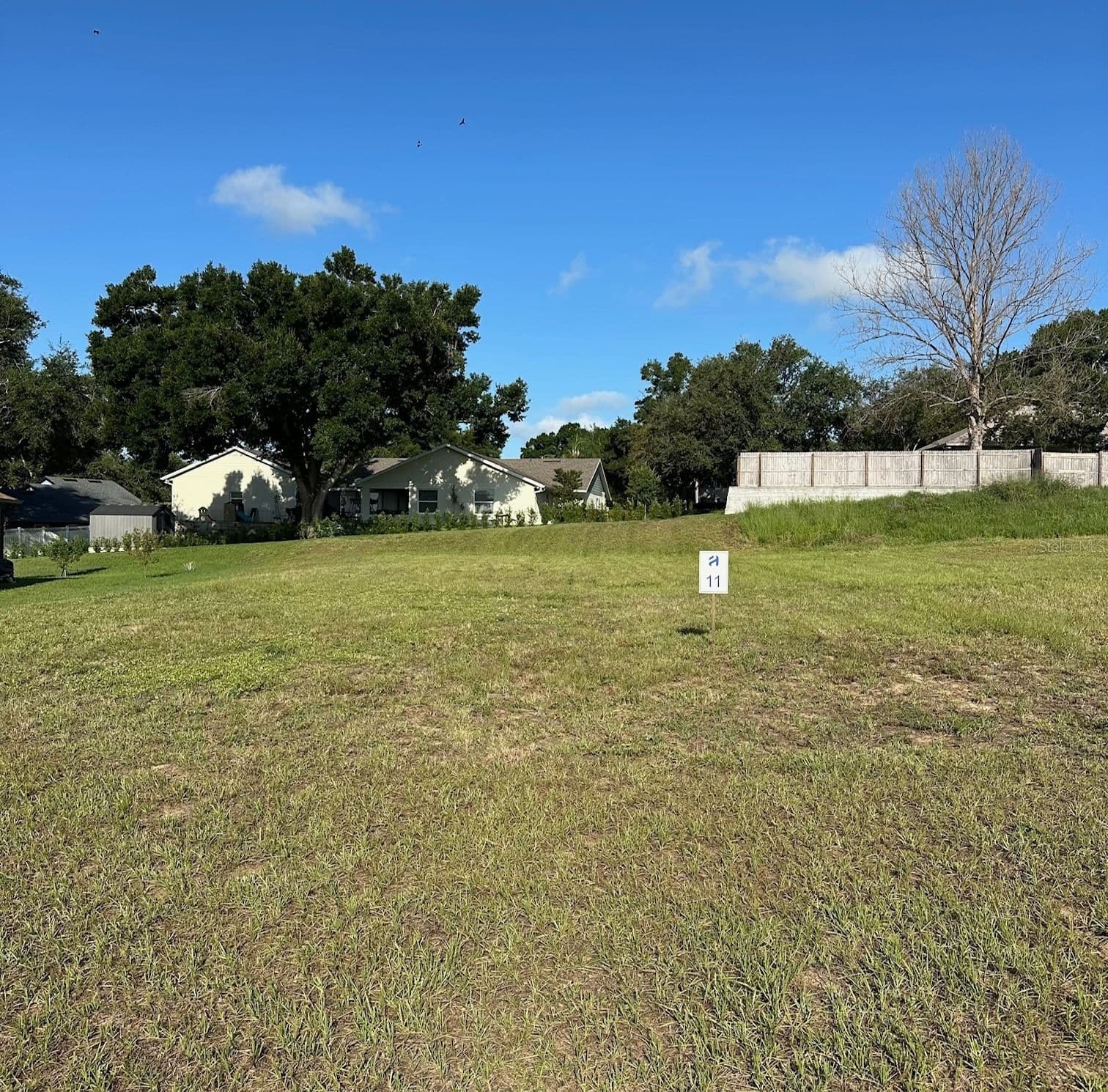 11619 MATANILLA