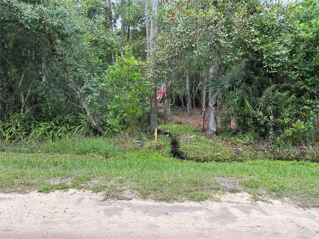 Lot 19 REAGAN
