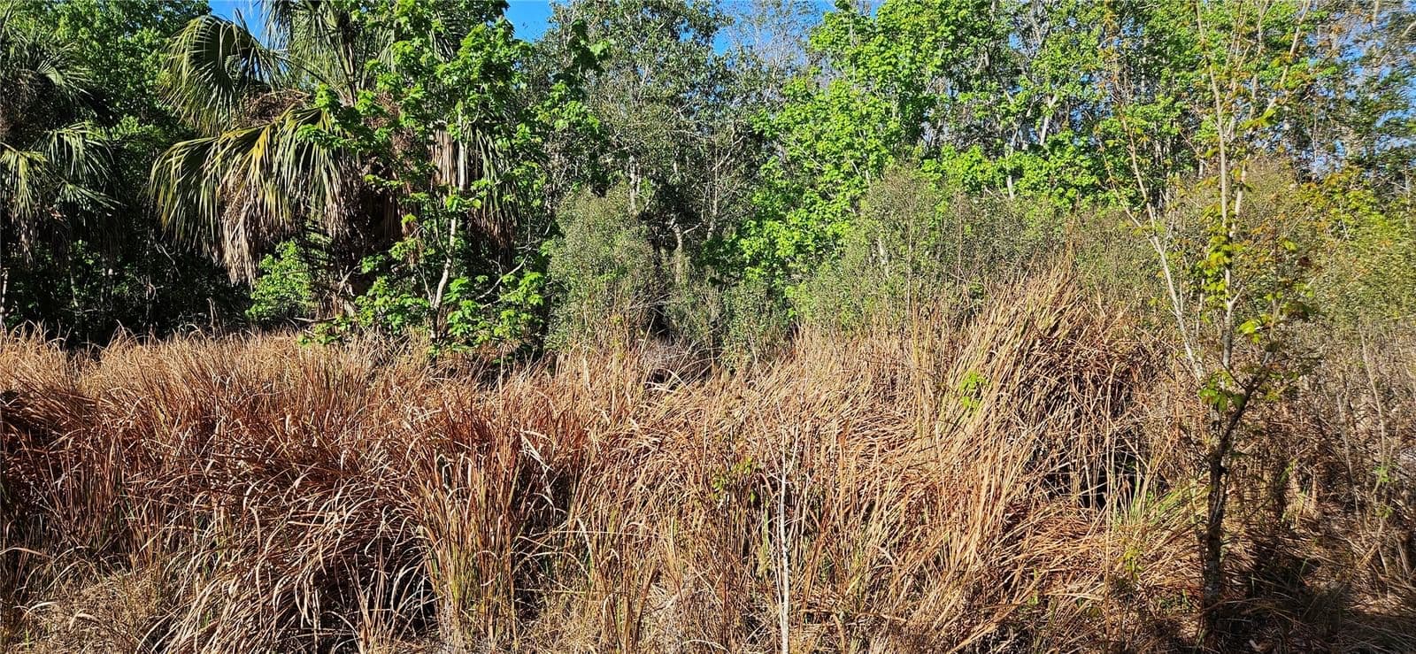 Photo 4 of this home
