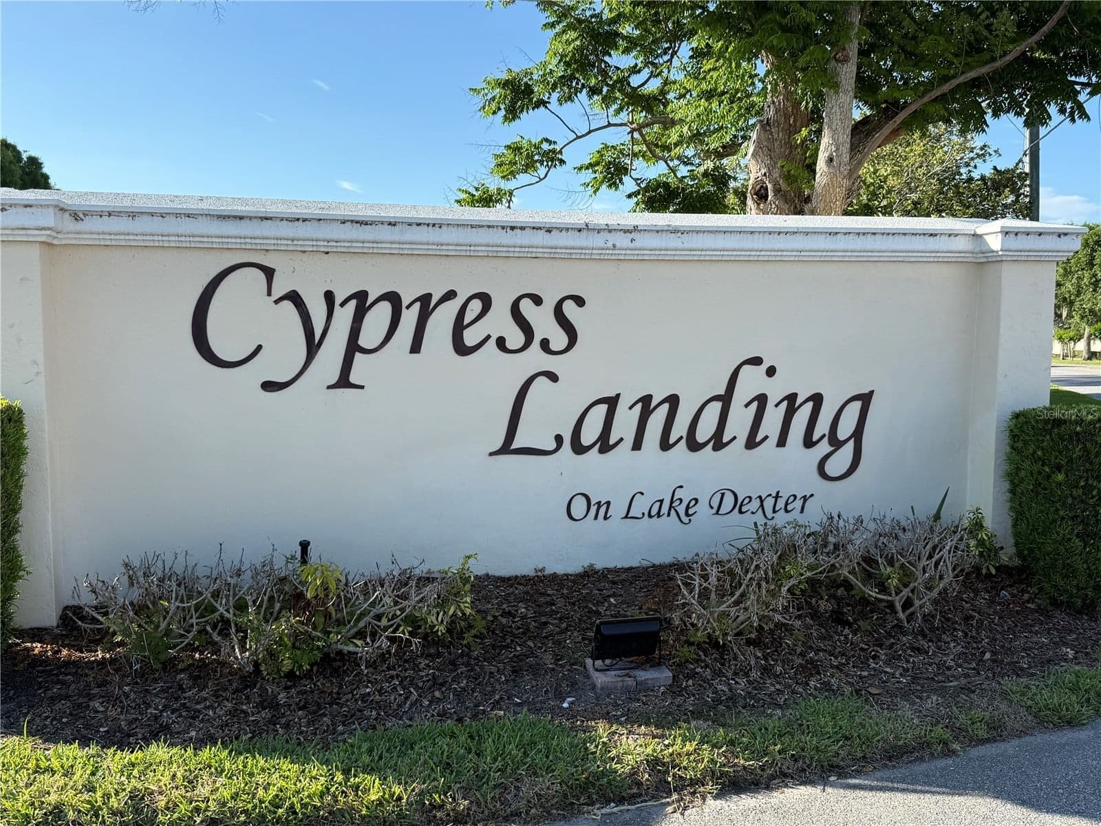 3971 CYPRESS