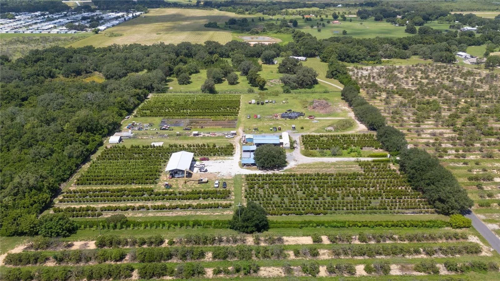 Photo 5 of 104 EGG FARM