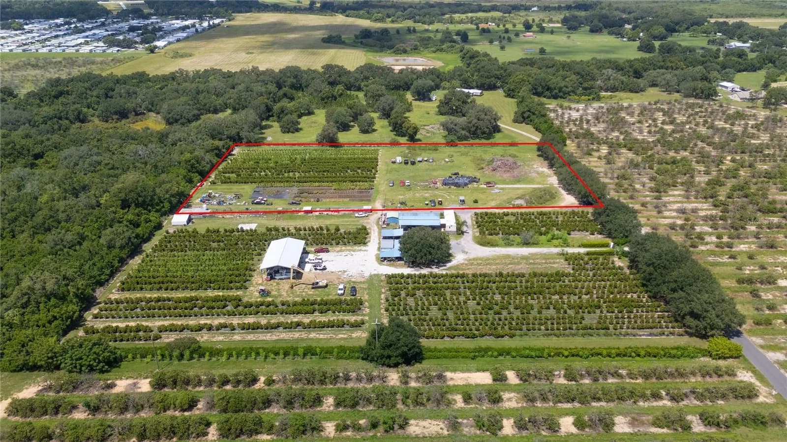 Photo 4 of 104 EGG FARM