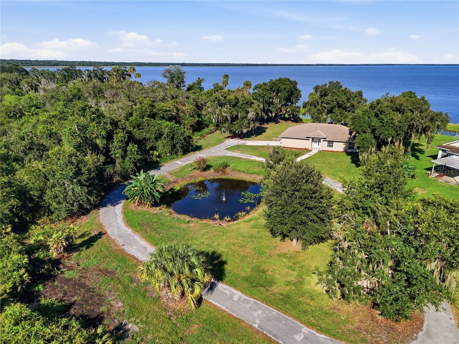 3005 SCRUB OAK