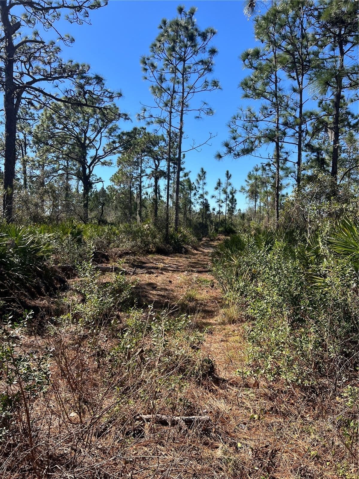SHORE