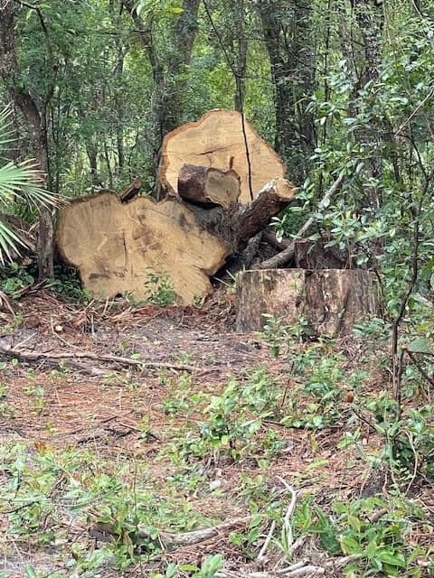Photo 5 of 2850 CLEBURNE