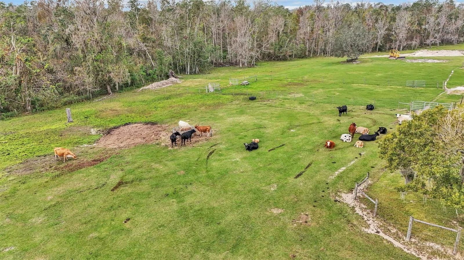 Photo 5 of 3182 INDIAN RIDGE