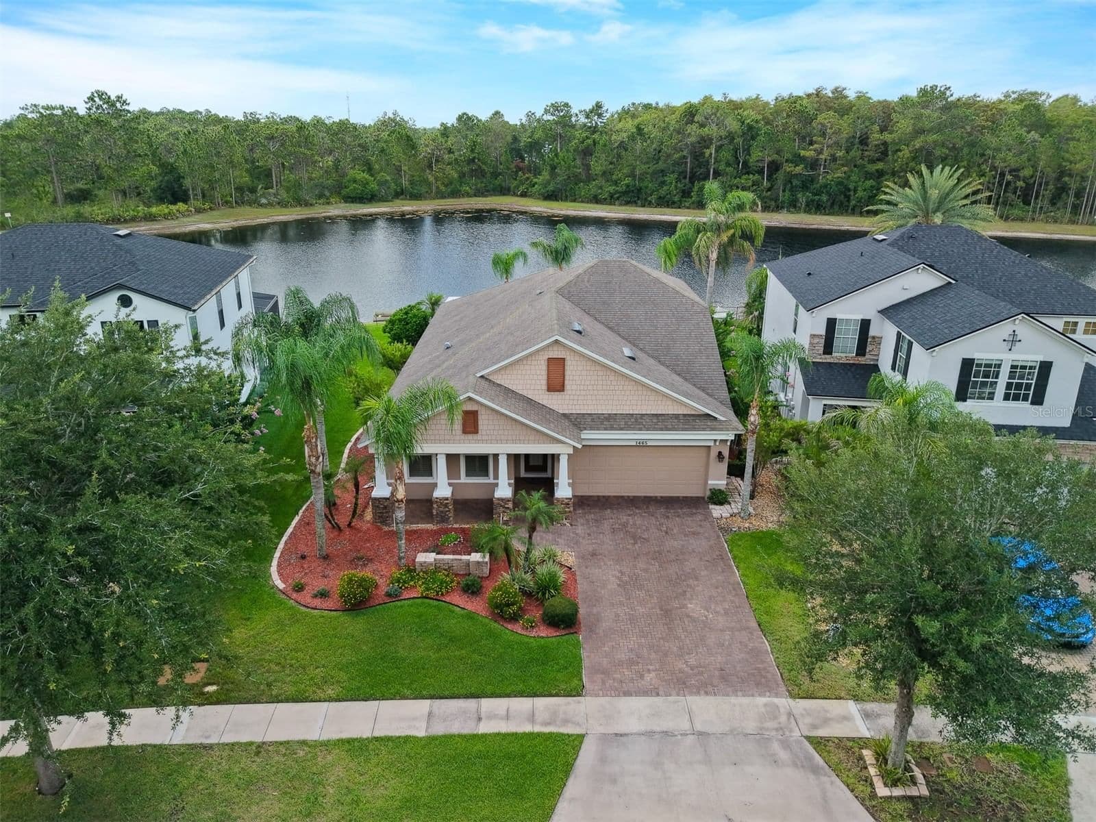 1465 BALSAM WILLOW