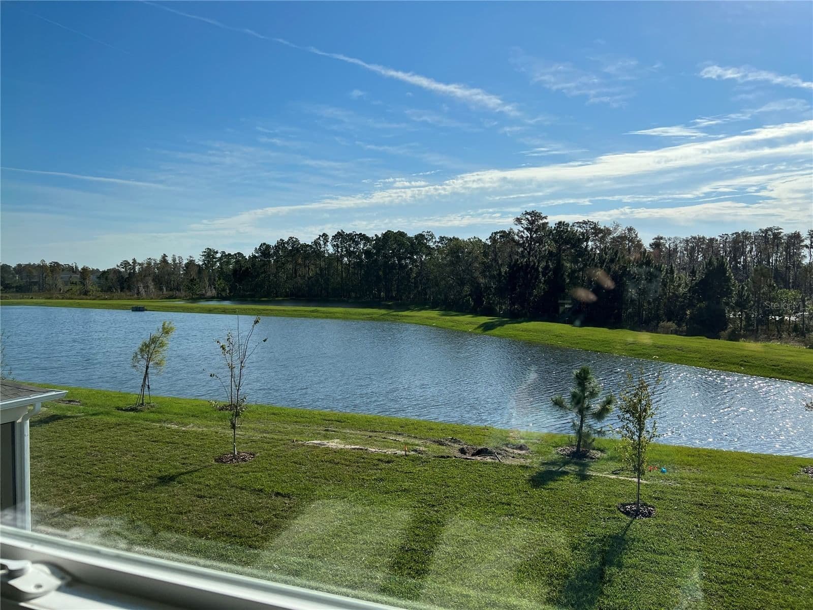 17575 SAW PALMETTO