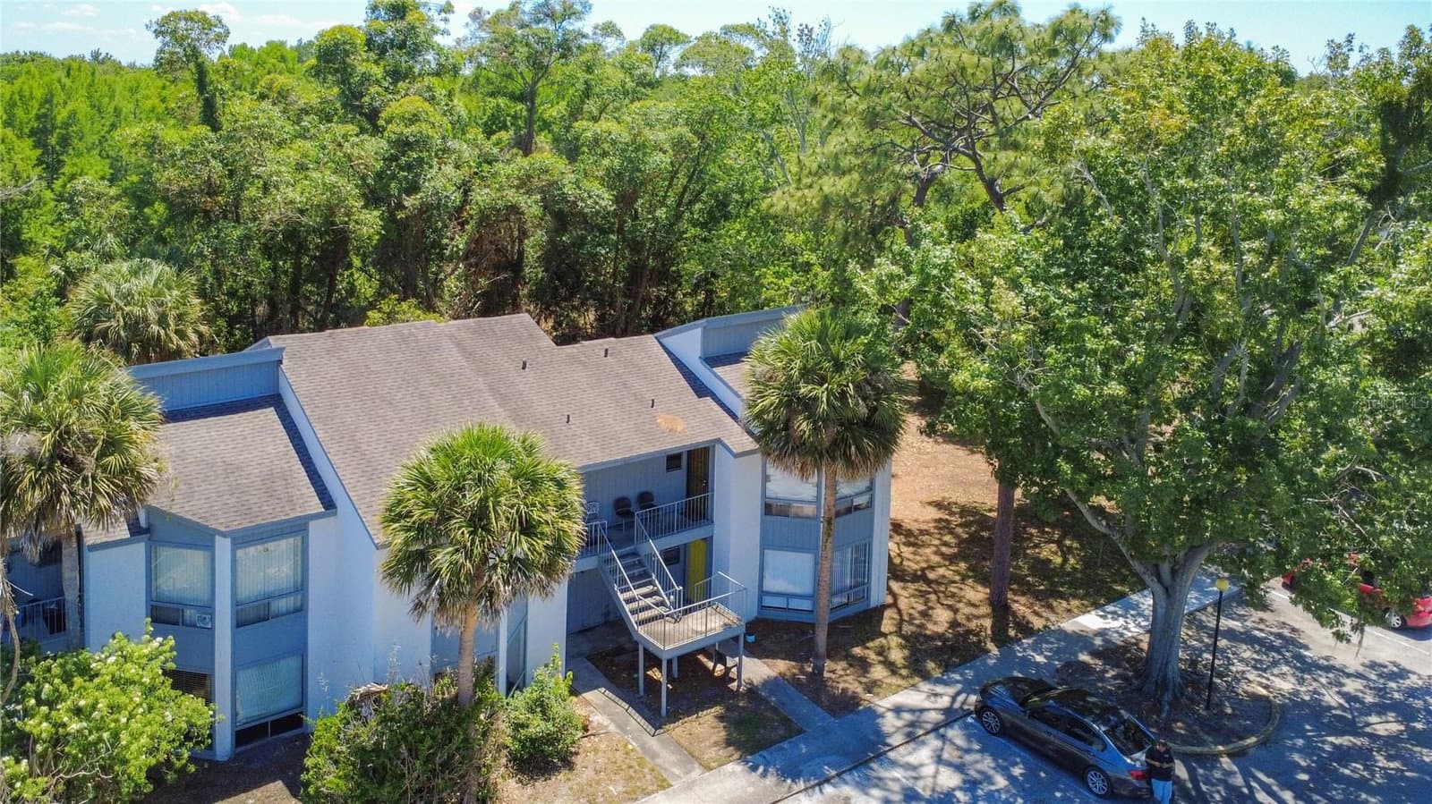 2636 LEMON TREE