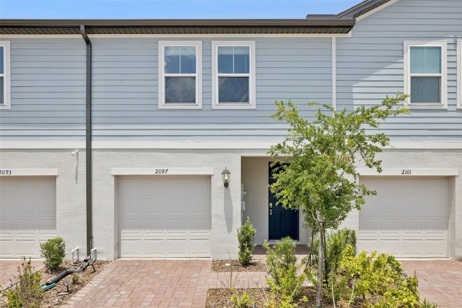 2097 CRAPE JASMINE