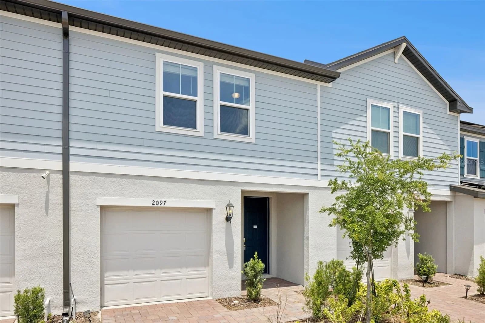 2097 CRAPE JASMINE