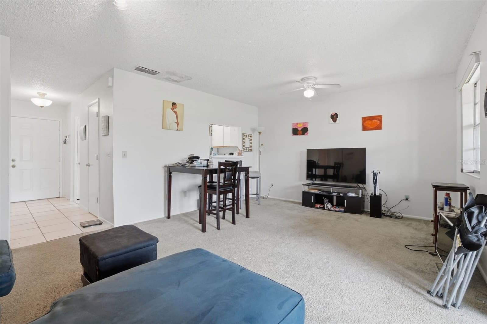 Photo 4 of 2025 WATERLEAF