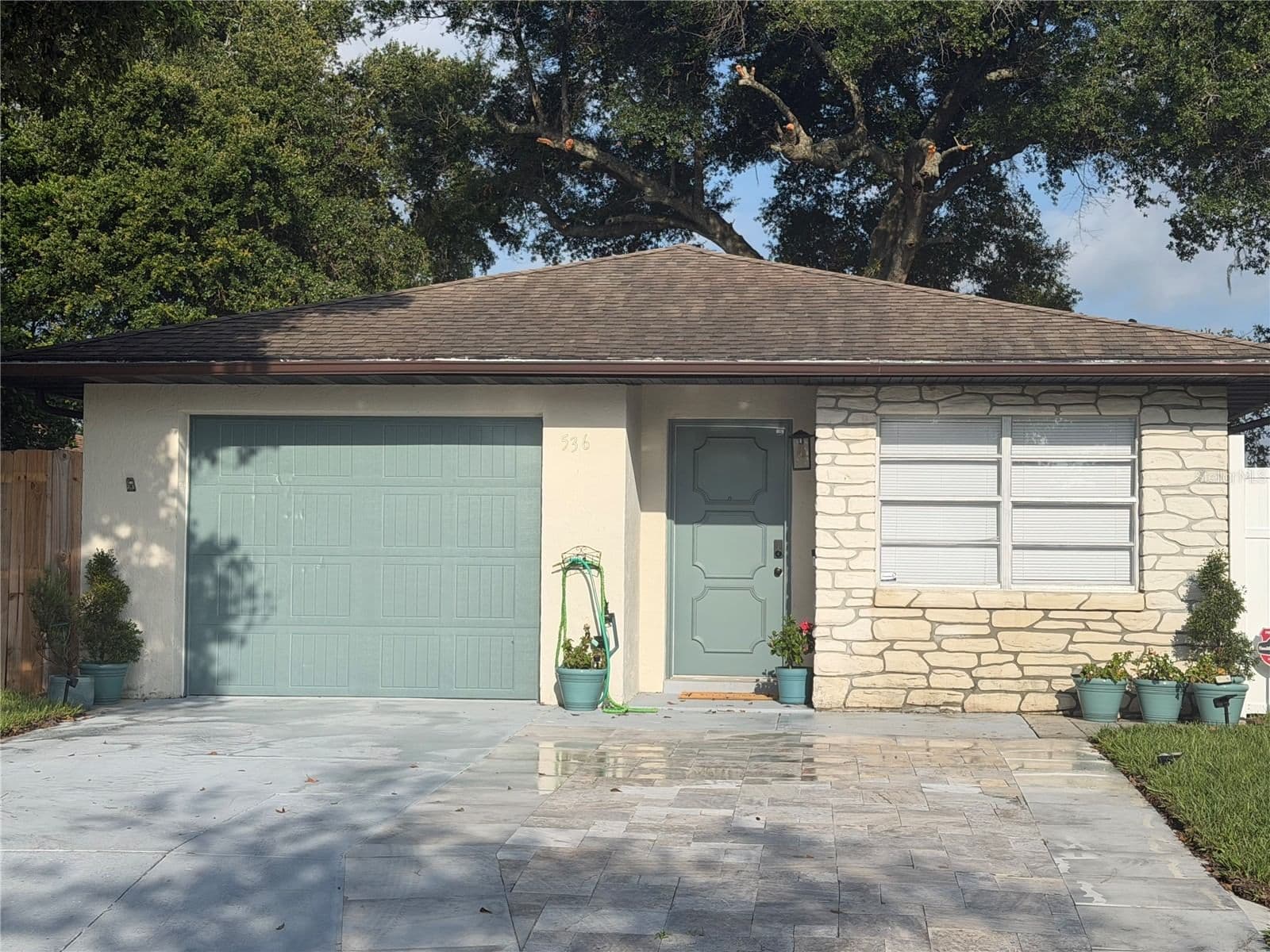 536 HIBISCUS