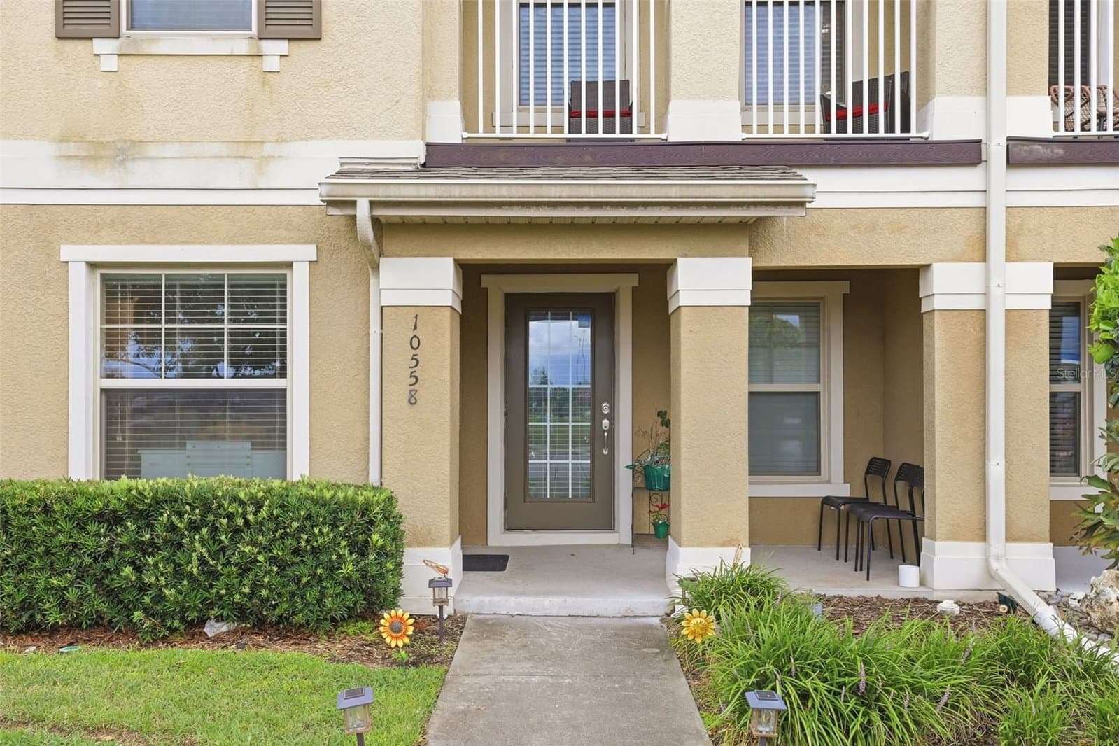 10558 GREEN IVY