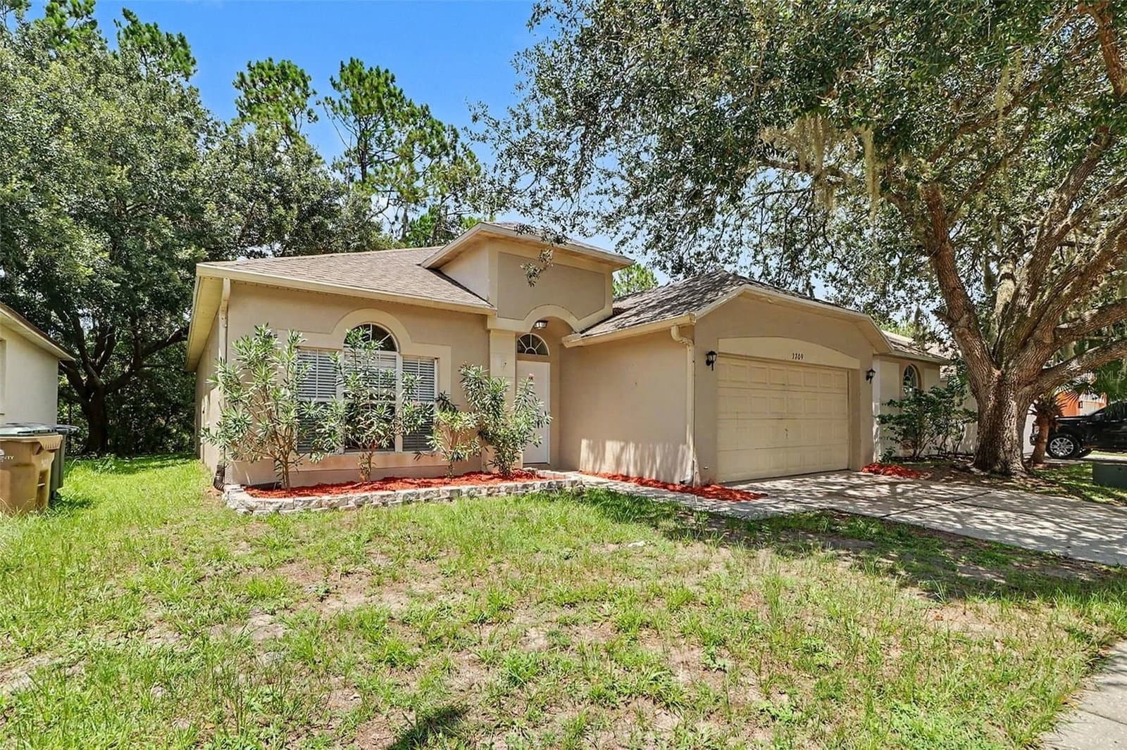 3709 CINNAMON FERN