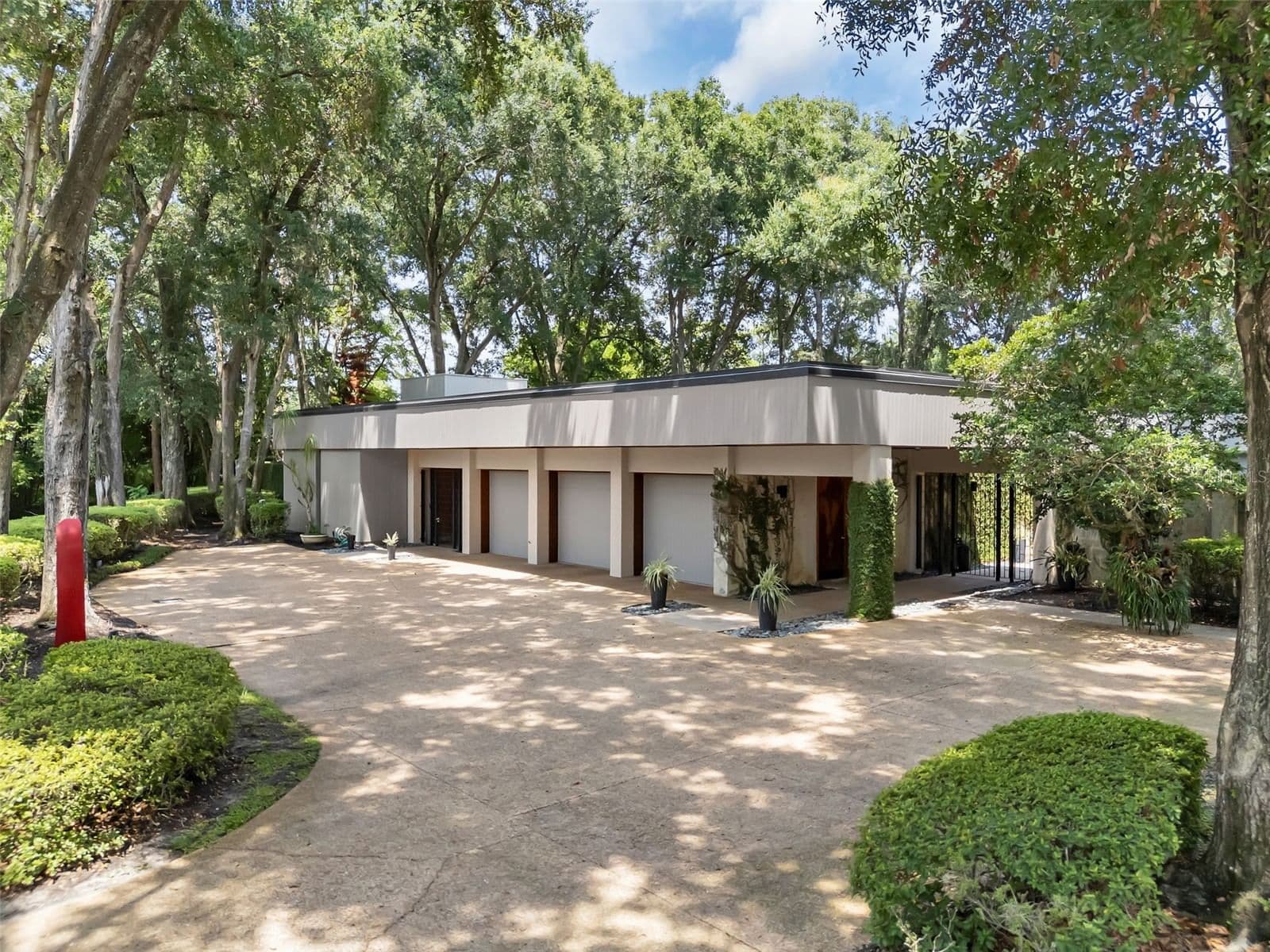 111 SAND PINE