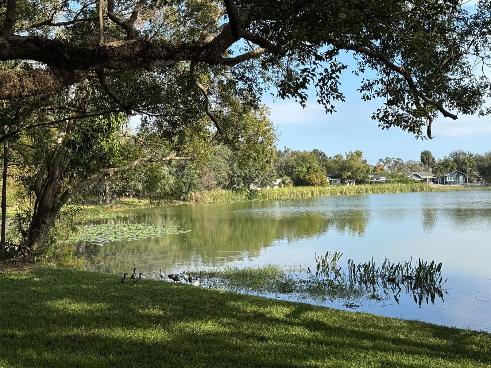 2943 EAGLE LAKE