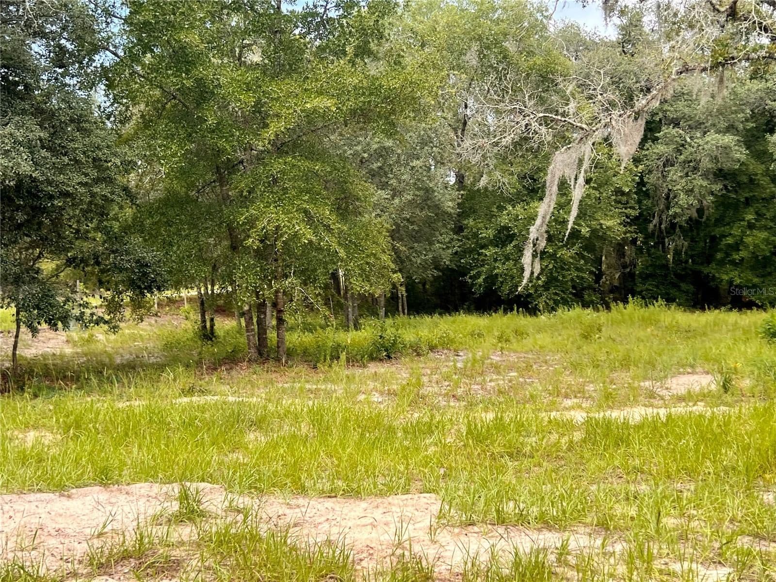 Photo 5 of 6281 169TH