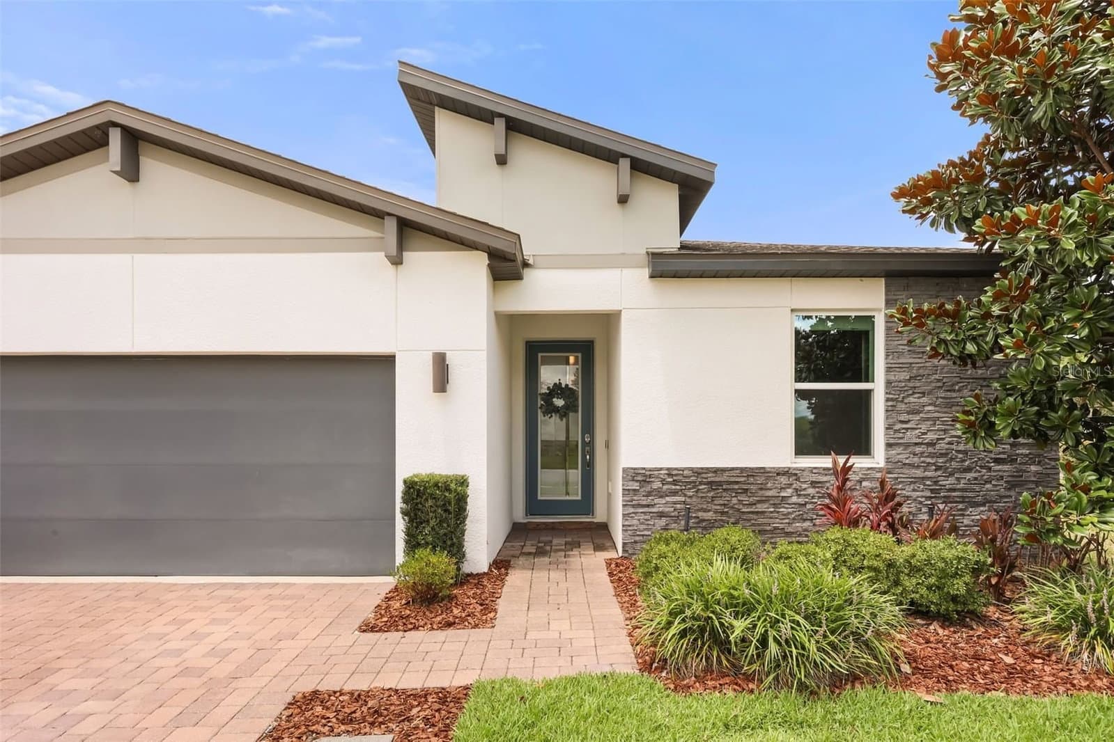 2286 MARSH SEDGE