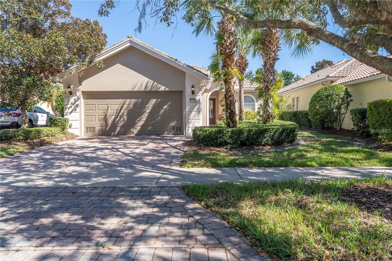 11731 EAGLE RAY
