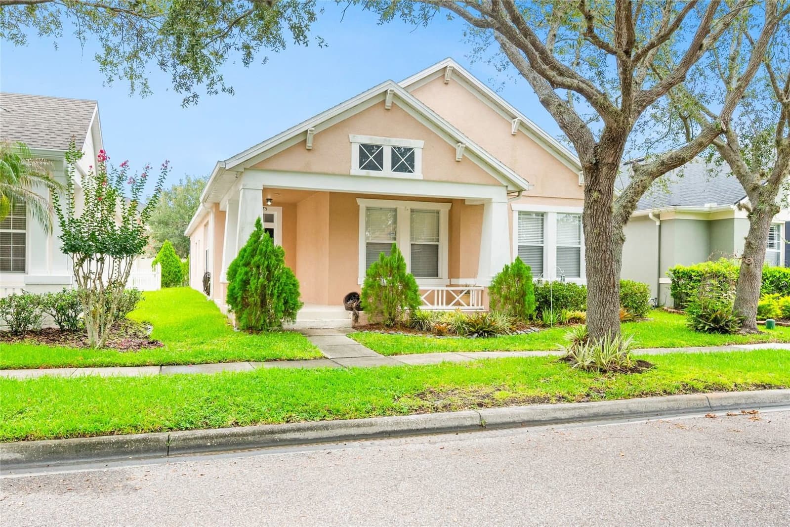 14475 JAMAICA DOGWOOD