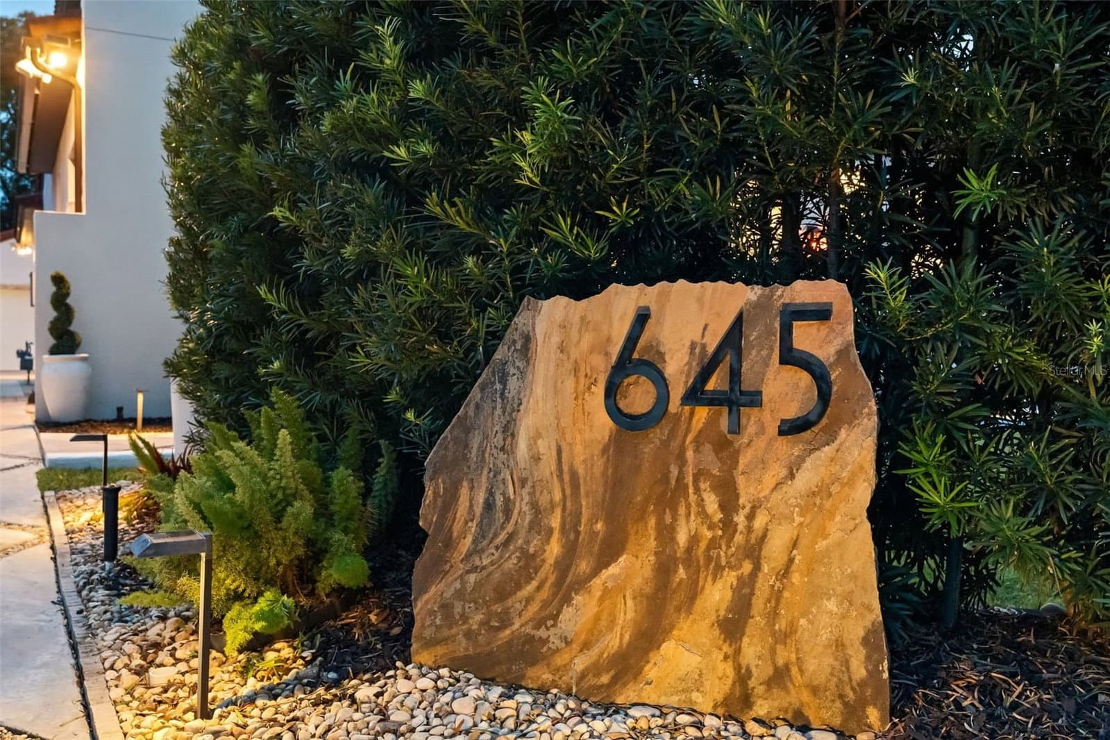 645 PANSY