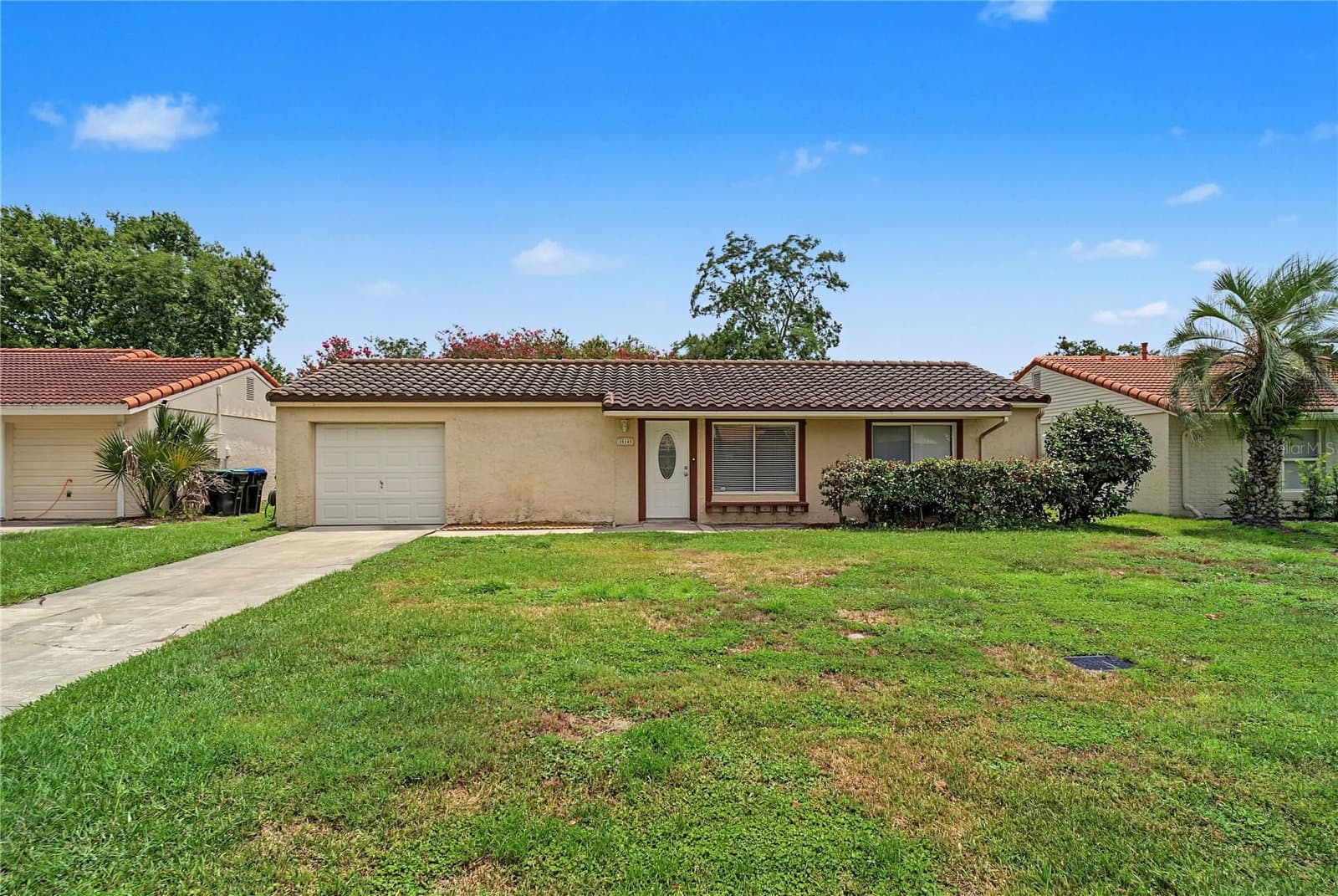 10145 BLUFF