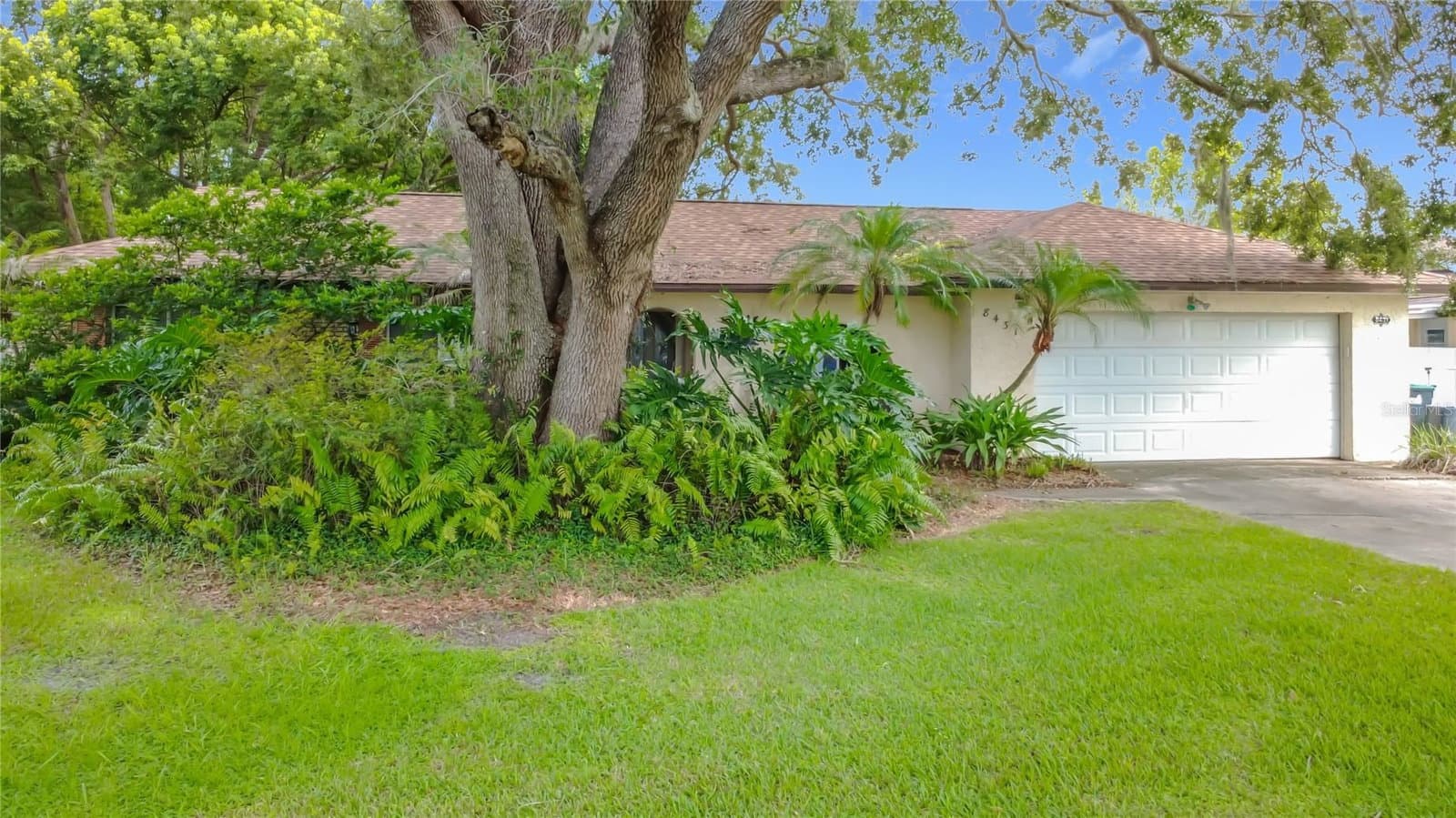 8431 PAMLICO