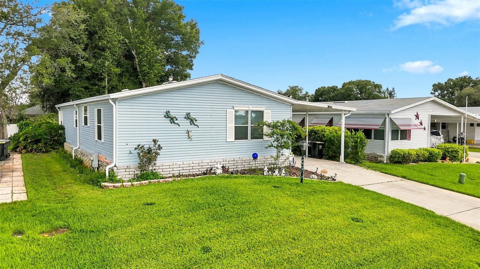6229 KNOTTY PINE