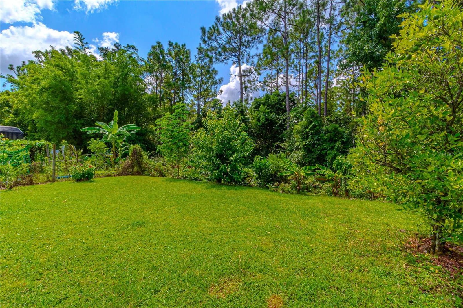 10462 WILLOW RIDGE