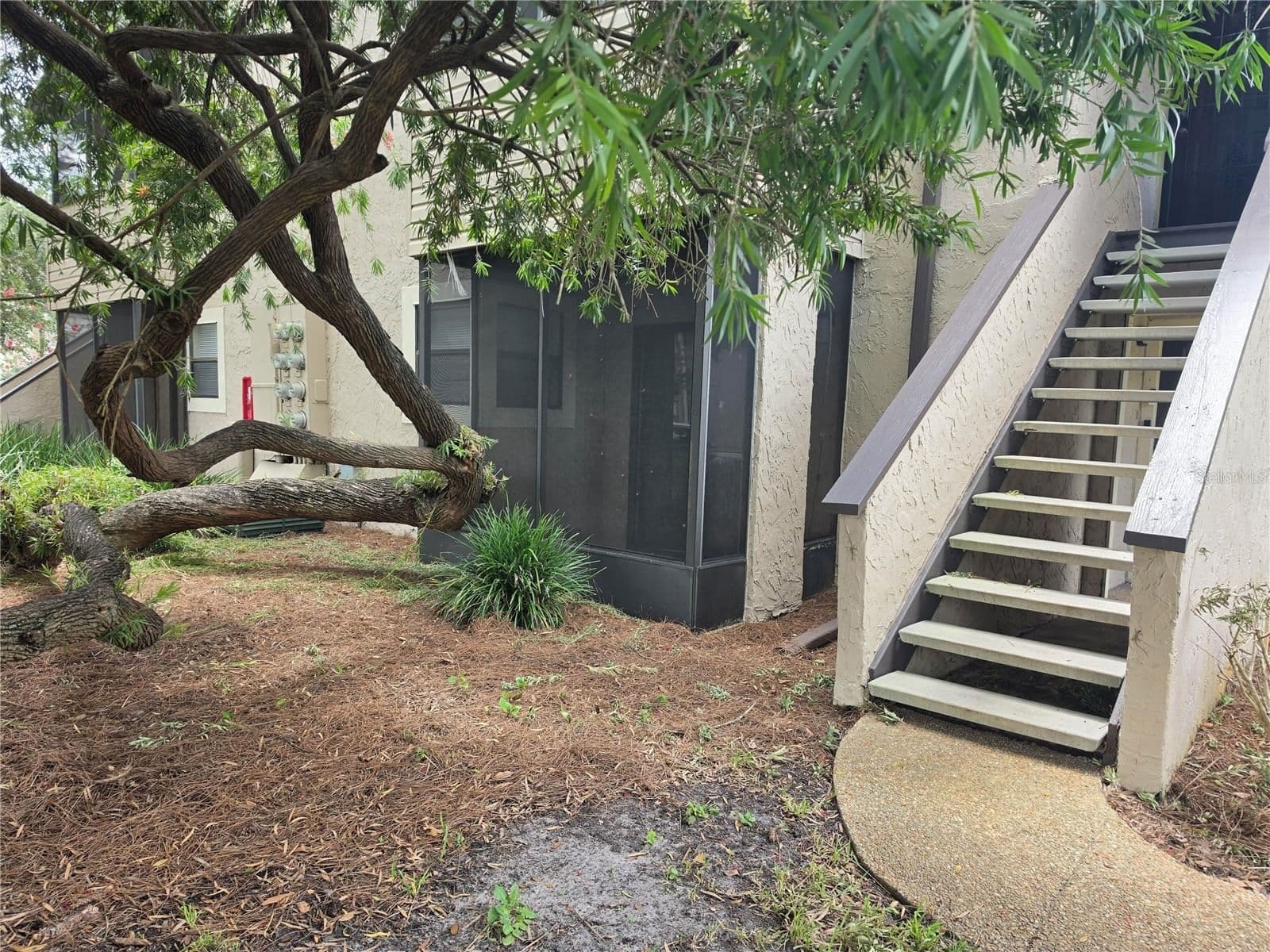 3019 ANTIQUE OAKS, Winter Park, FL