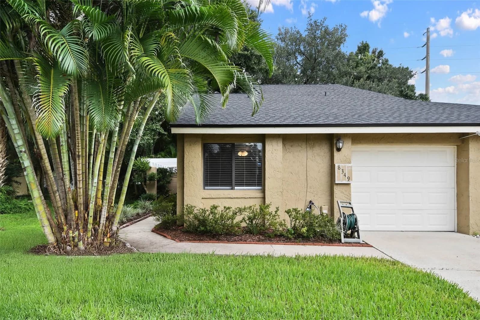 8349 CITRUS CHASE