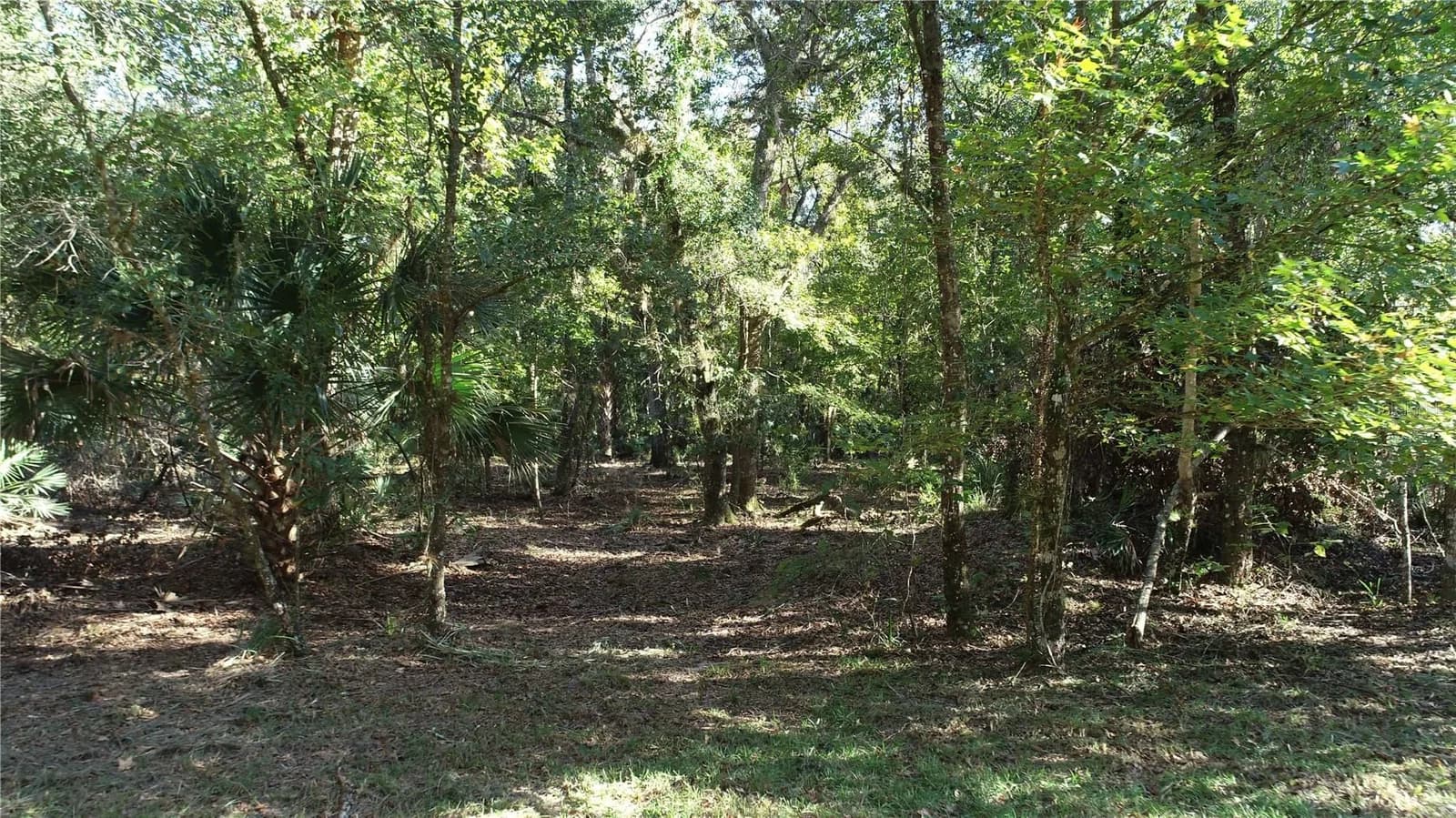 Photo 5 of S COUNTY ROAD 13
