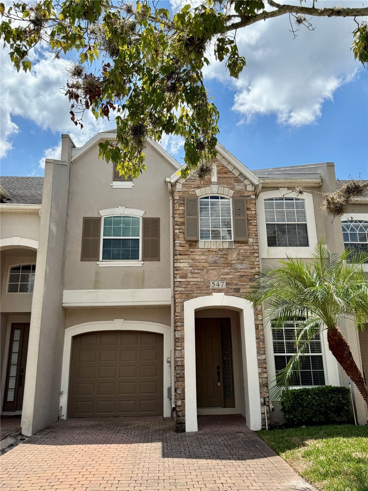 547 TERRACE SPRING