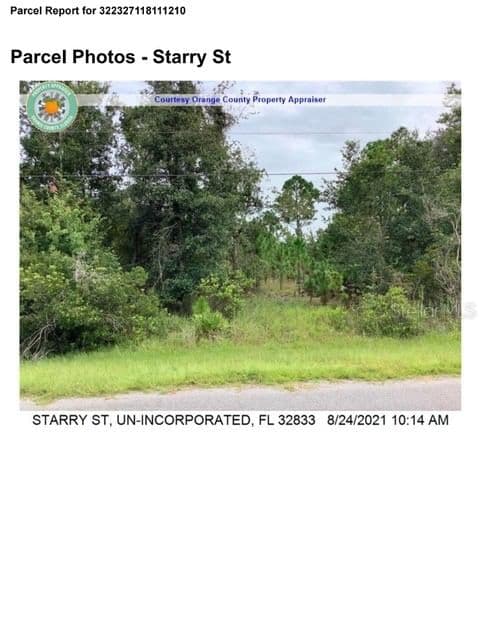 Photo 3 of STARRY ST
