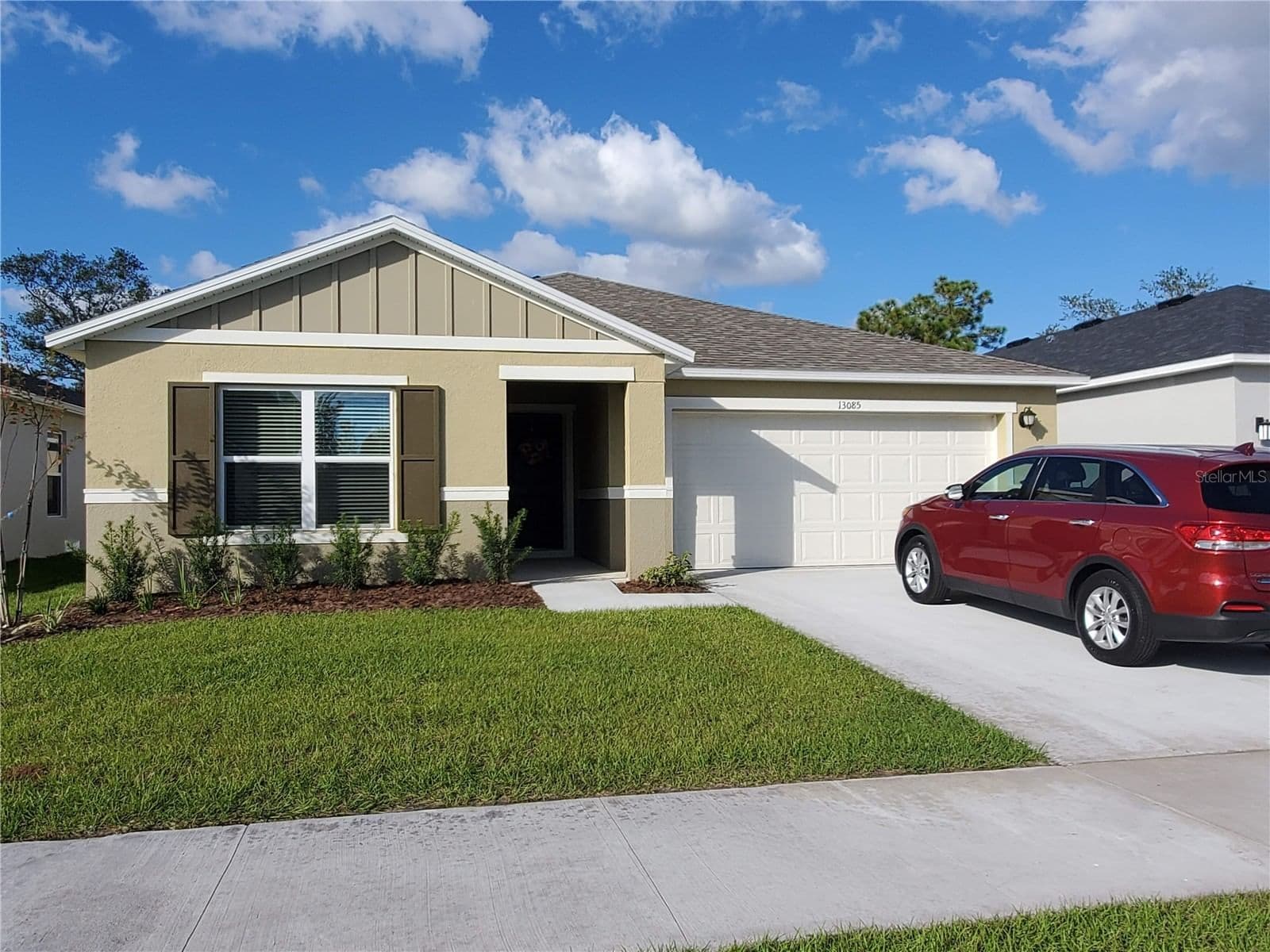 13085 THATCH PALM