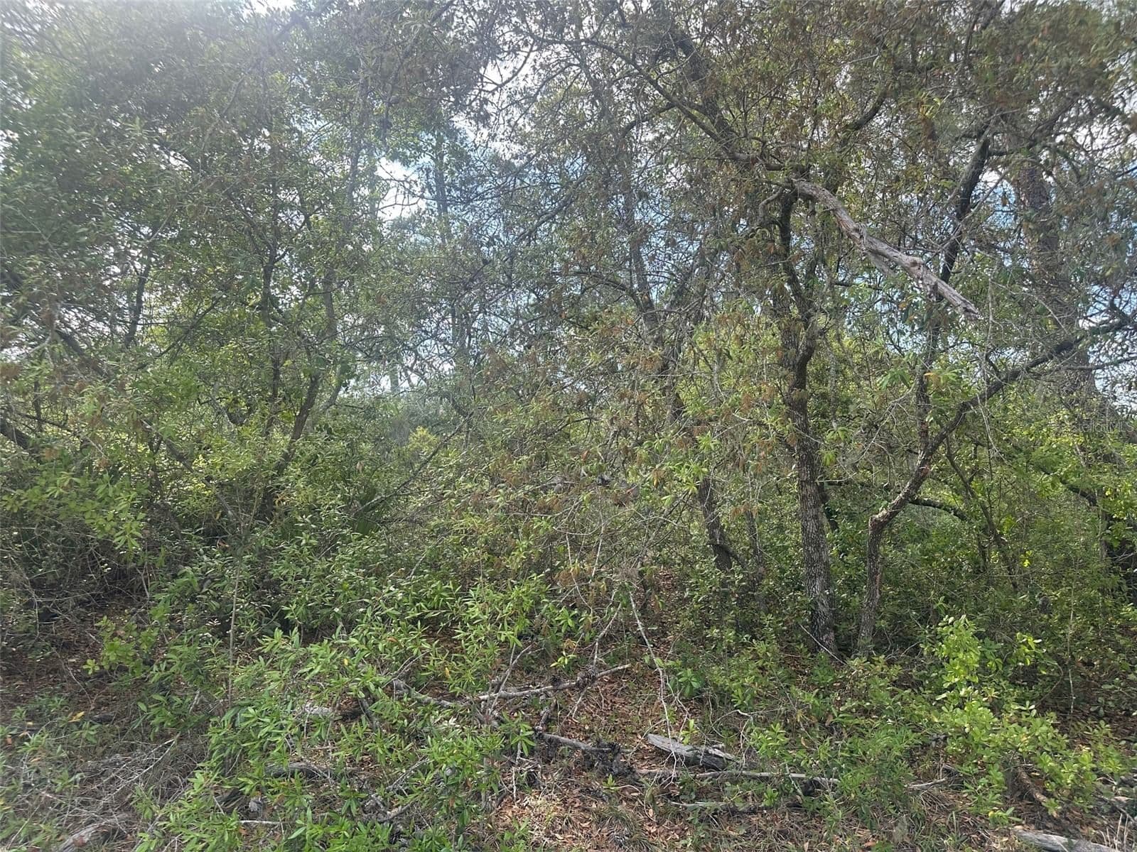 Photo 4 of Lot 6 170TH