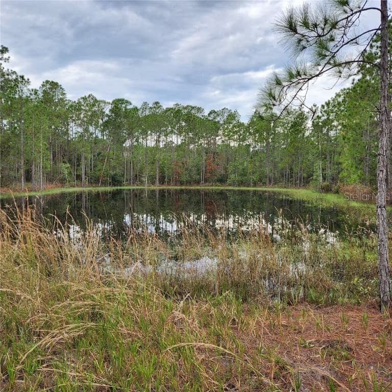 LOT 2 SHORE