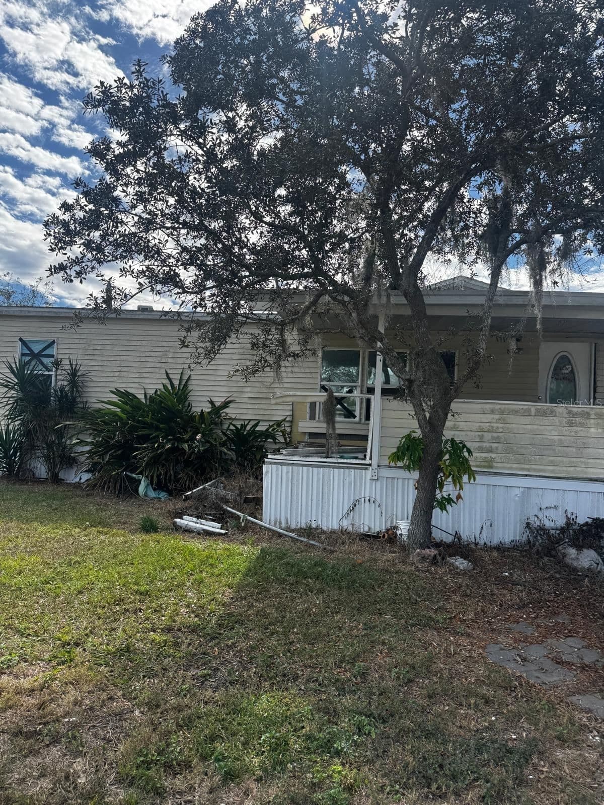 2626 SHINER