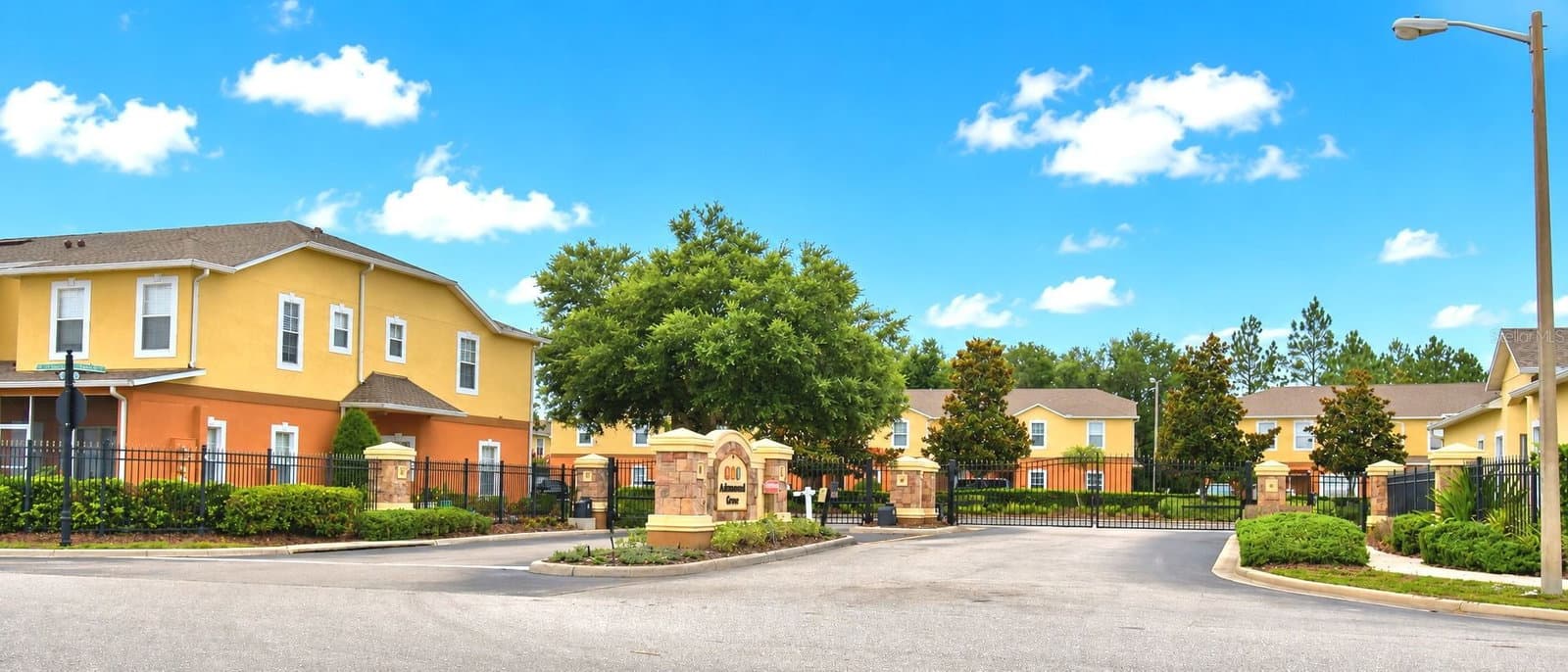 4086 WINDING VINE