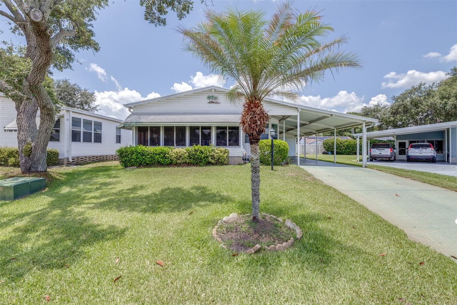 6235 KNOTTY PINE