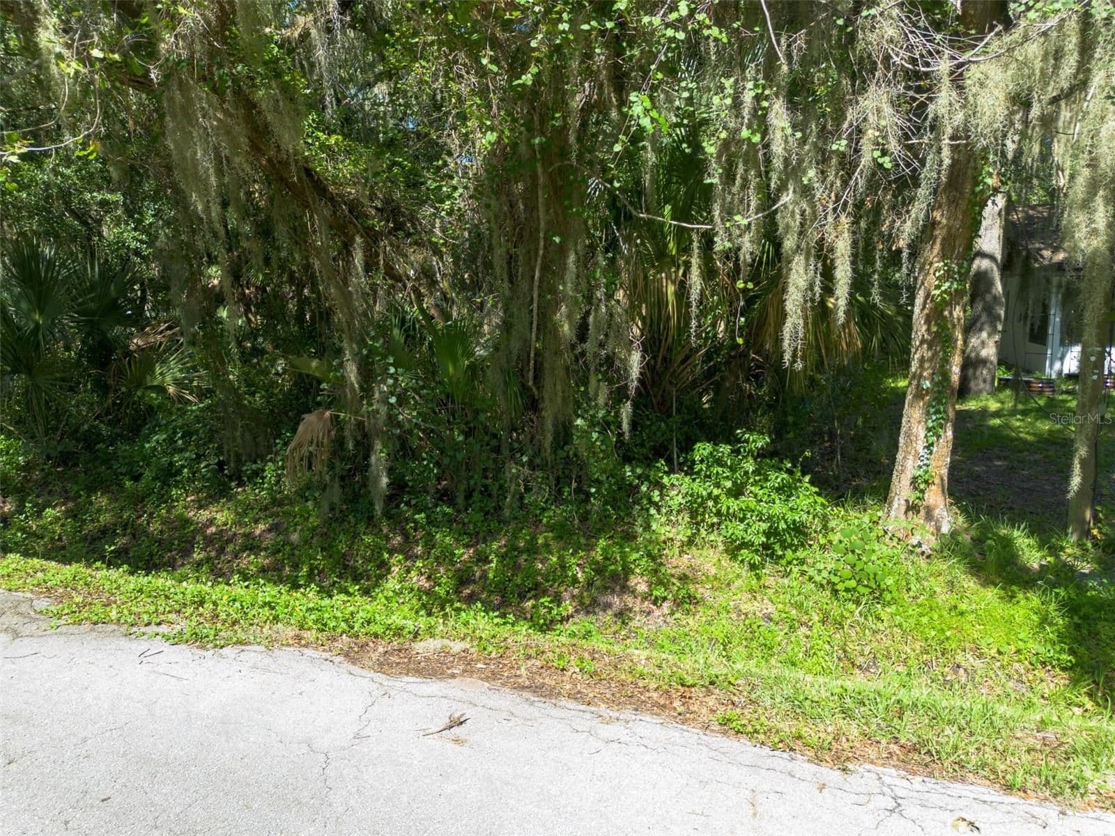 Photo 4 of BEACH PARKWAY