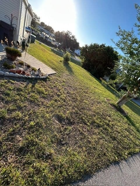 Photo 5 of 354 EDGEWOOD