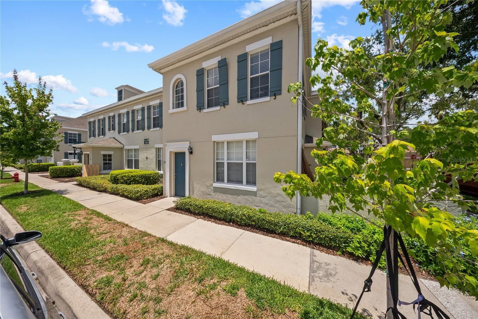 714 SIENA PALM