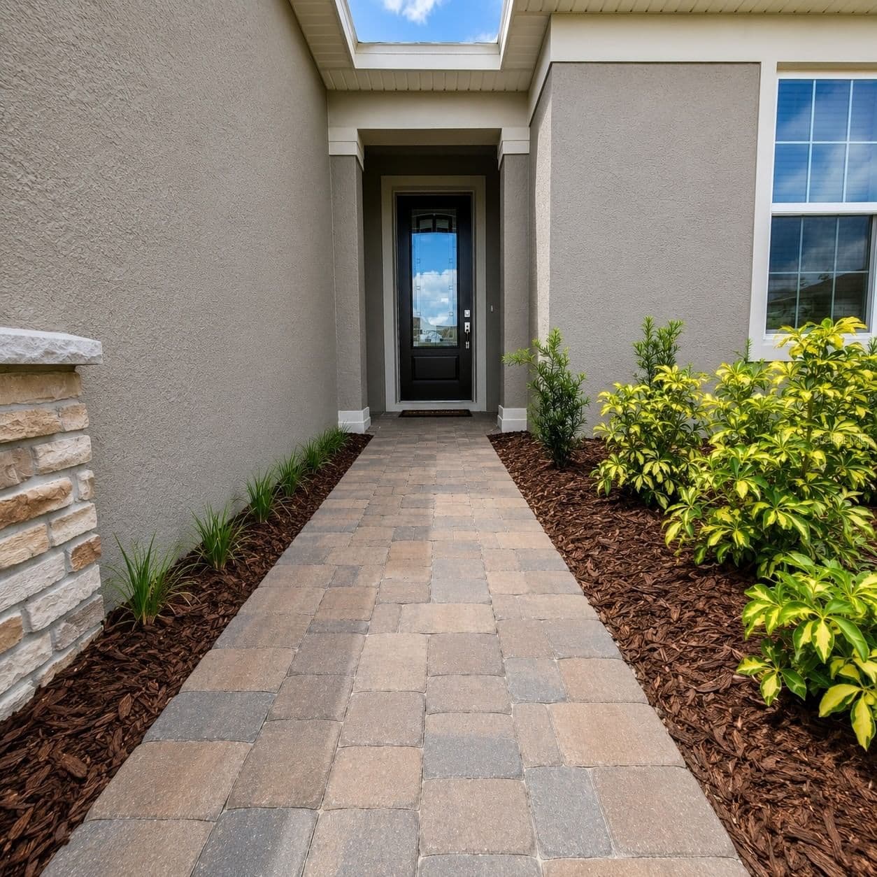 17391 SAW PALMETTO