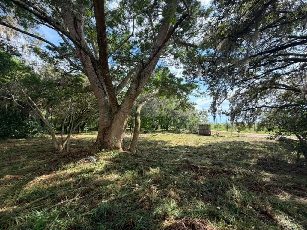 8156 DOGYARD, Lake Wales, FL